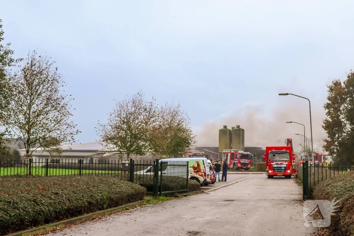 Brand in leegstaande kippenstal