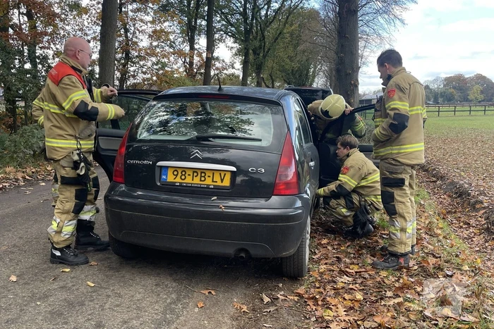 Brandlucht in auto