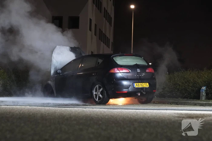 Geparkeerde auto uitgebrand