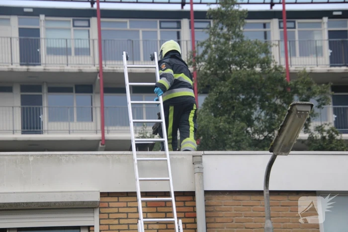 Vogel bevrijdt uit schoorsteenpijp