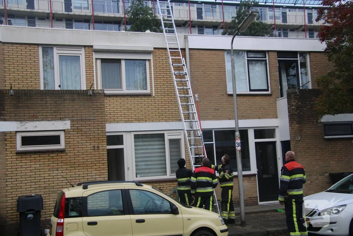 Vogel bevrijdt uit schoorsteenpijp