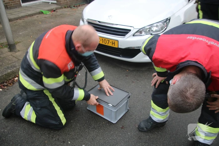 Vogel bevrijdt uit schoorsteenpijp