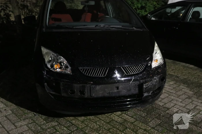 Beschonken bestuurder richt forse schade aan