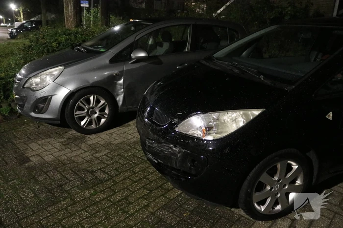 Beschonken bestuurder richt forse schade aan