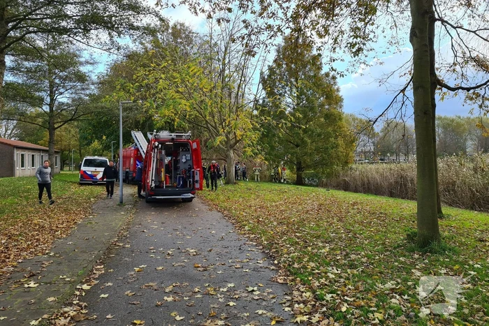 Brandweer haalt persoon uit het water
