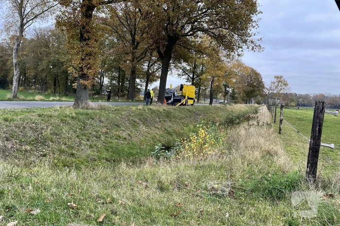 Auto botst frontaal tegen boom