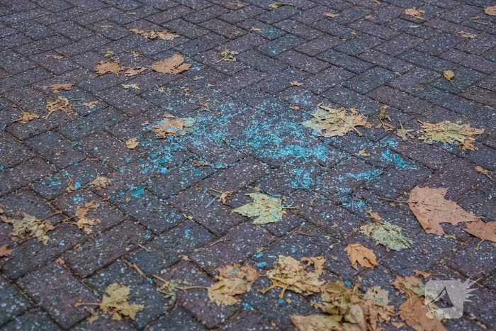 Aanhouding bij ruzie tussen twee personen