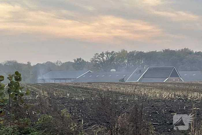 Veel rook bij brand op boerderij