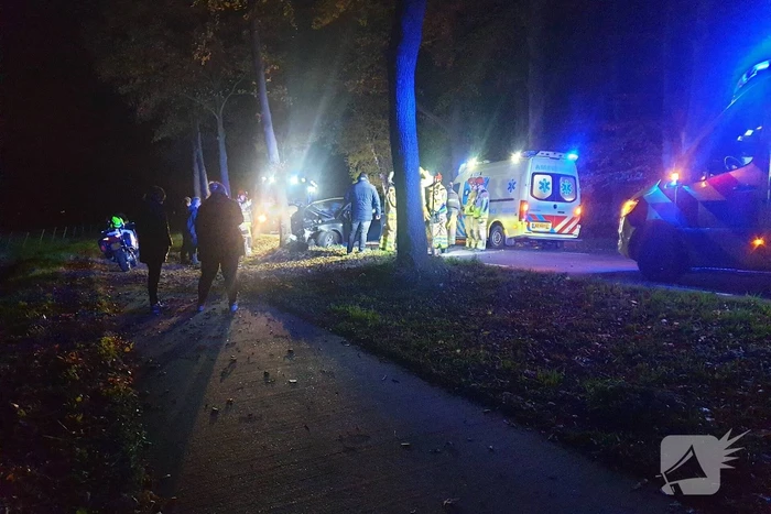 Automobilist verliest macht over het stuur en botst tegen boom