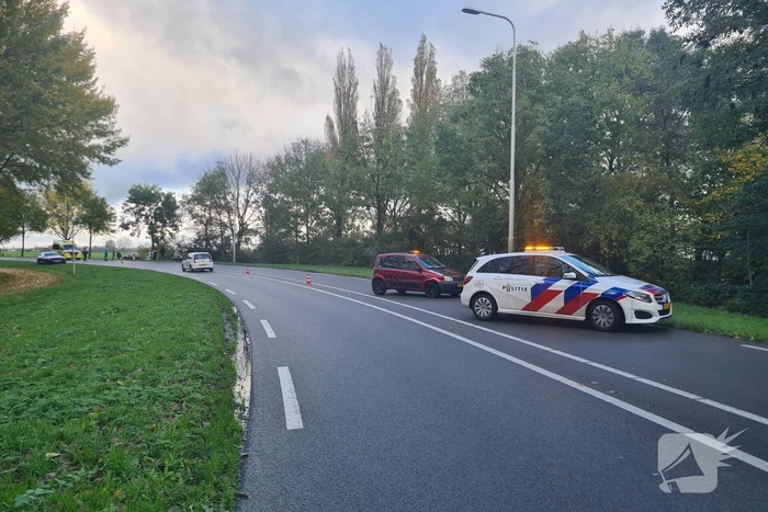 Bestuurder verliest macht over stuur en raakt boom