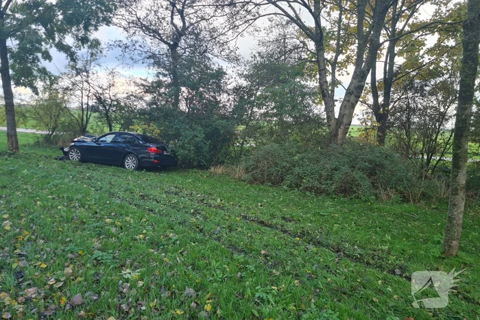 Bestuurder verliest macht over stuur en raakt boom