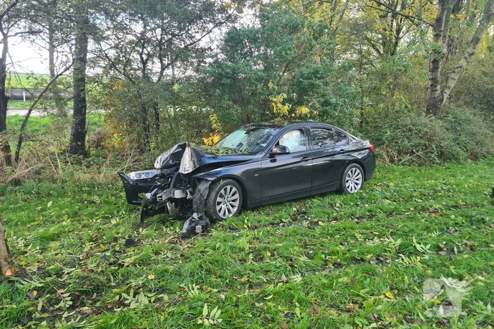 Bestuurder verliest macht over stuur en raakt boom
