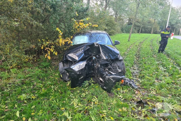 Bestuurder verliest macht over stuur en raakt boom