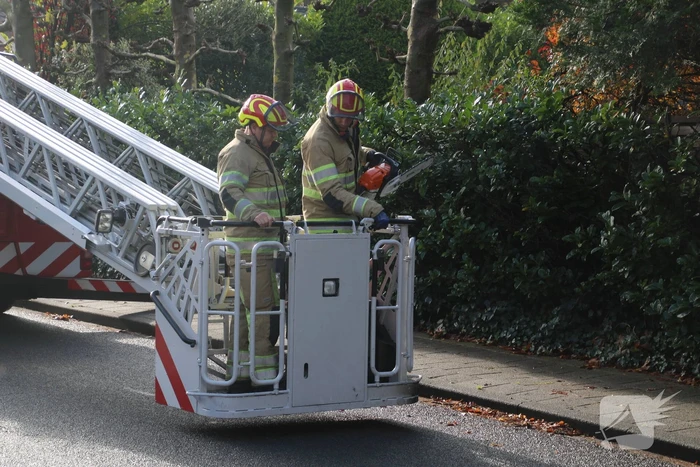Brandweer zaagt loshangende takken uit boom