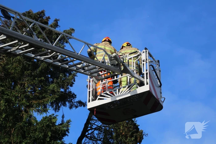 Brandweer zaagt loshangende takken uit boom