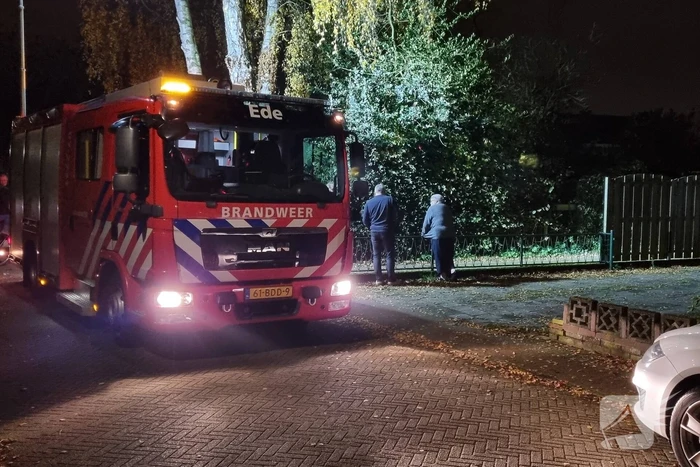 Veel schade aan auto en coniferenhaag na brand