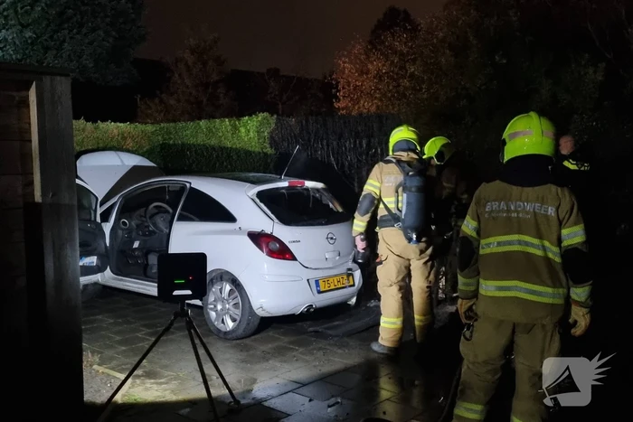 Veel schade aan auto en coniferenhaag na brand