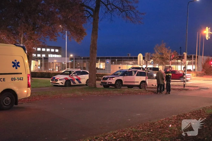 Automobilist rijdt paal omver en botst tegen boom