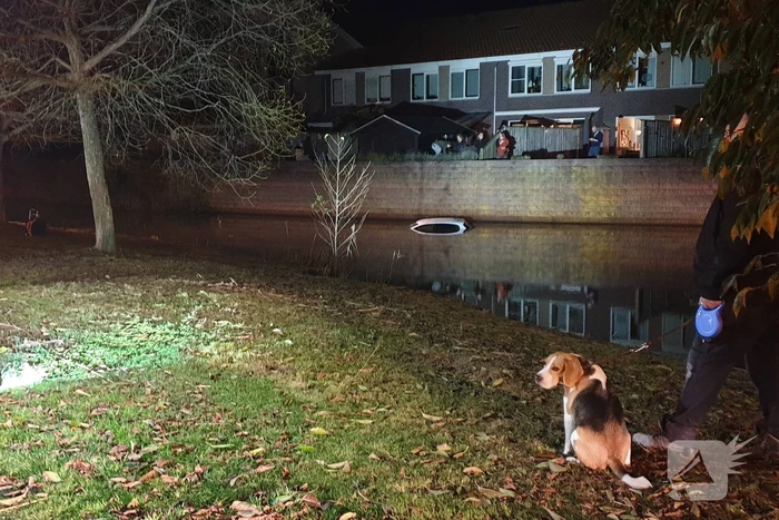 Auto raakt te water na vergeten handrem