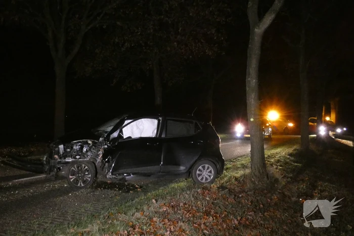 Auto raakt van de weg en botst tegen boom