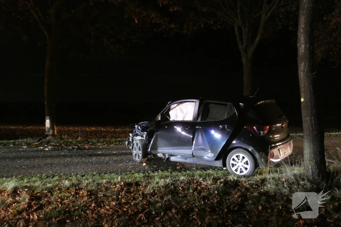 Auto raakt van de weg en botst tegen boom