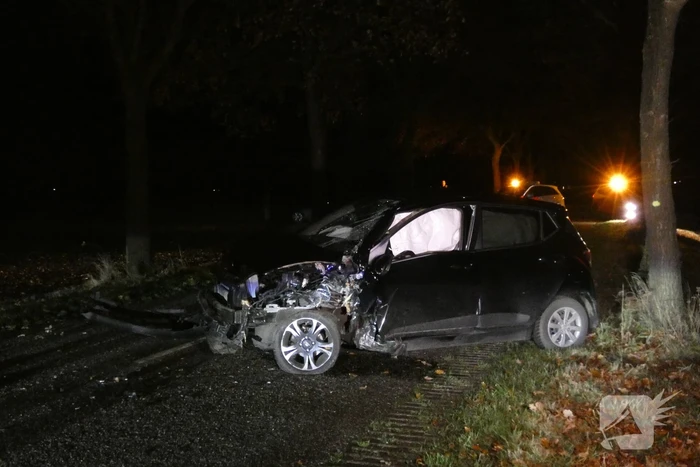 Auto raakt van de weg en botst tegen boom