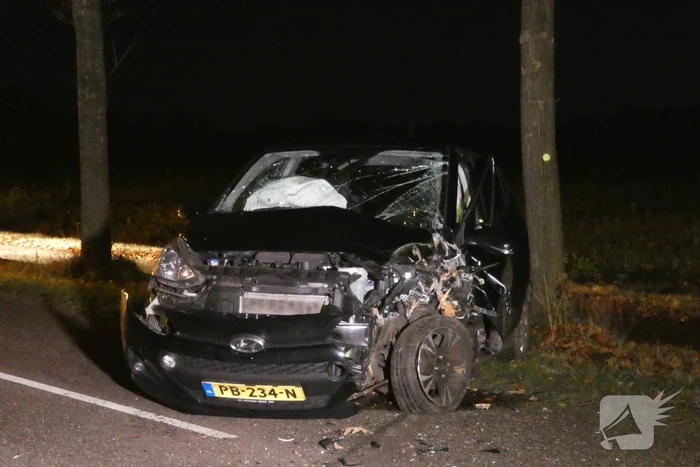 Auto raakt van de weg en botst tegen boom