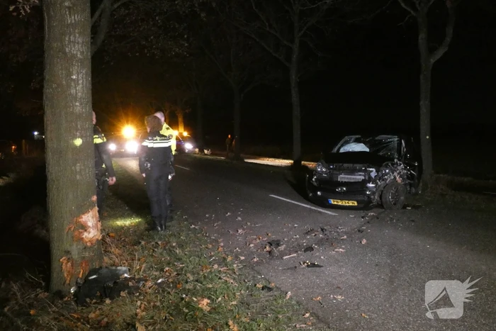 Auto raakt van de weg en botst tegen boom