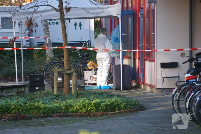 steekincident damsport groningen