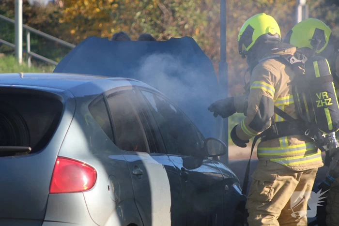 Auto total-loss door brand