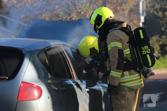Auto total-loss door brand