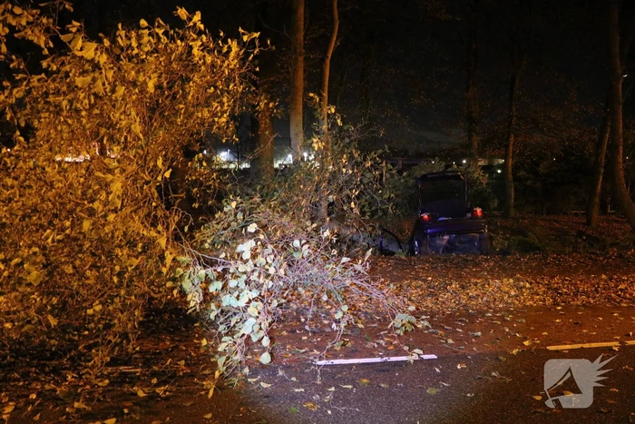 ongeval spekkelaan lisse