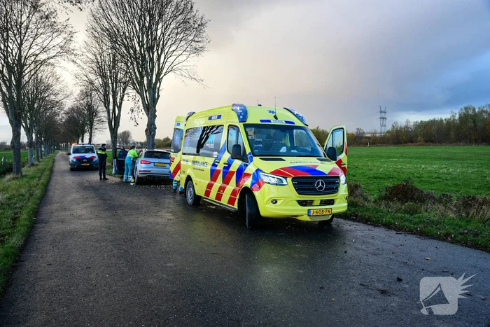 Automobilist botst met voertuig op boom