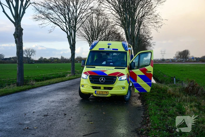 Automobilist botst met voertuig op boom
