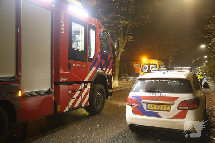 brand irislaan leende