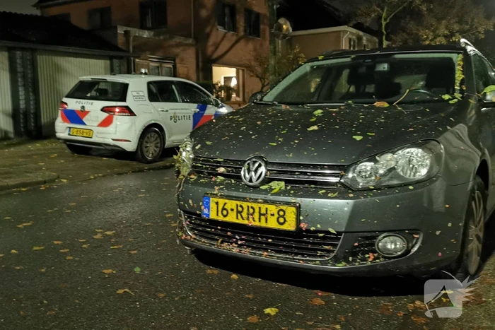 Automobilist rijdt rechtdoor rotonde over en vlucht