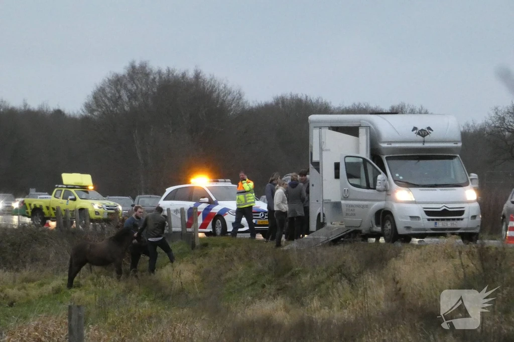 Rijksweg A28 Nieuws Eursinge 