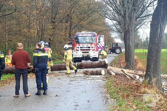Weg geblokkeerd door omgevallen boom