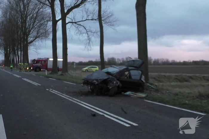 Zwaargewonde bij eenzijdig ongeval met boom