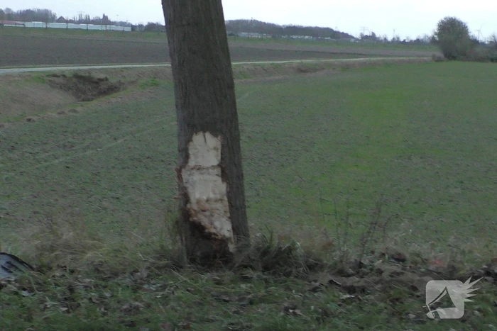 Zwaargewonde bij eenzijdig ongeval met boom