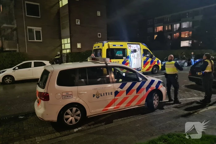 steekincident van hogendorplaan vlaardingen