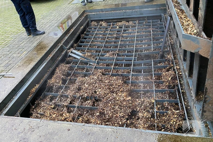 Broei in grote put met houtvezels