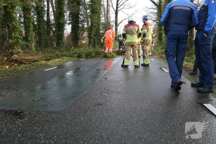 natuur rijssenseweg delden