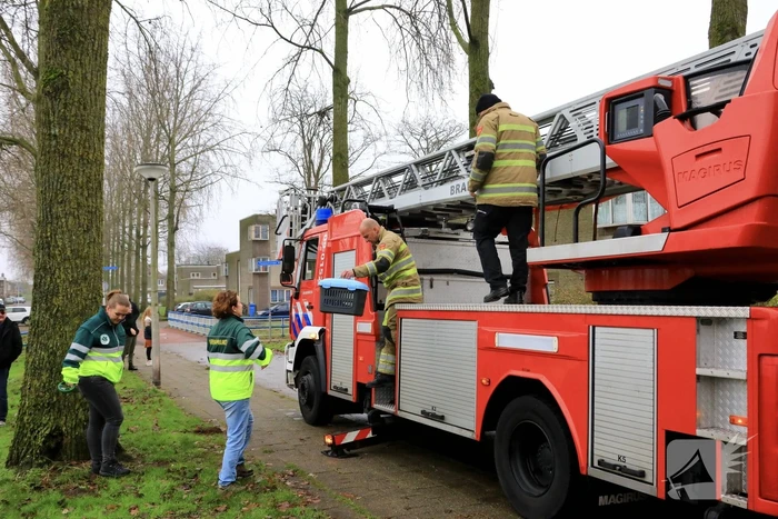 Kat vlucht dak op voor brandweer