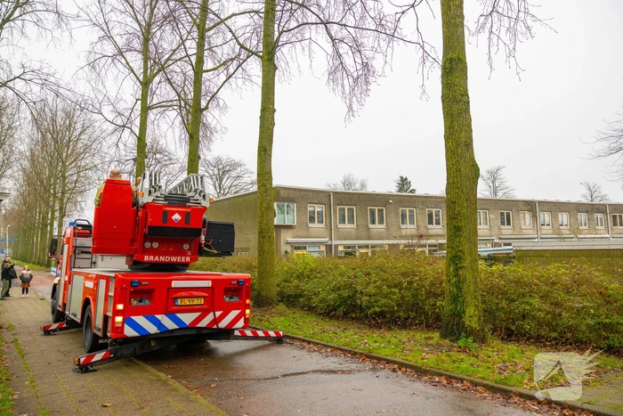 Kat vlucht dak op voor brandweer