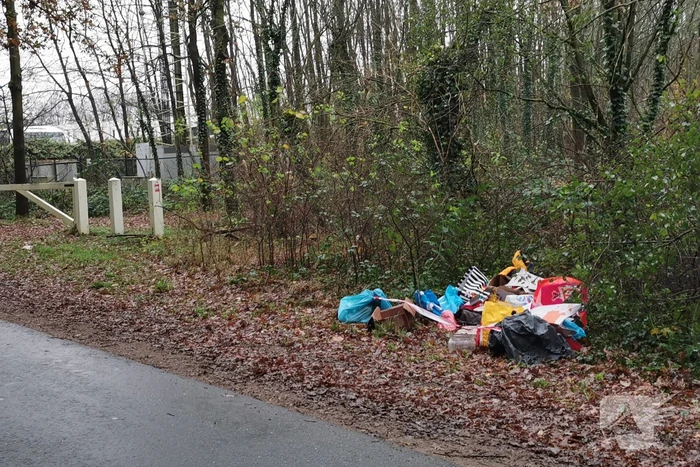 Illegale afval dumping in het bos