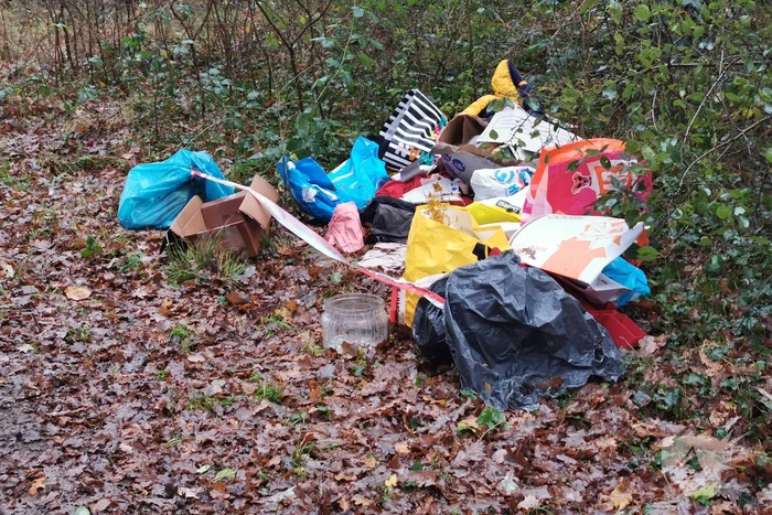 Illegale afval dumping in het bos
