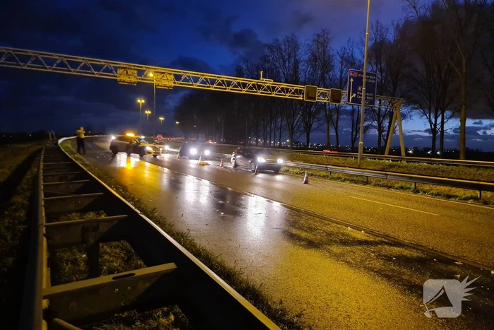 Zwaan aangereden op snelweg