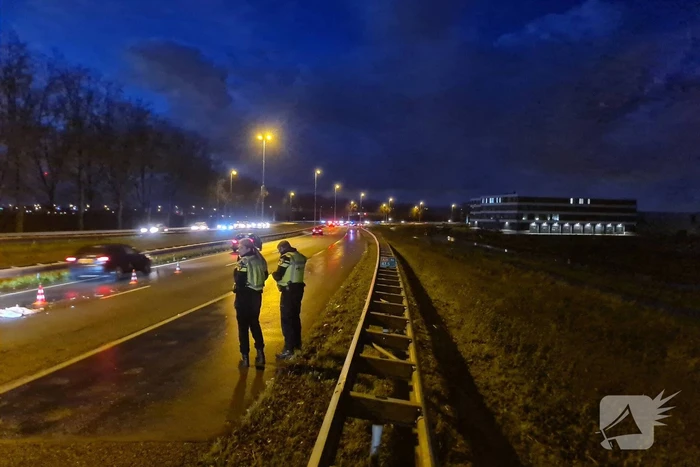 Zwaan aangereden op snelweg