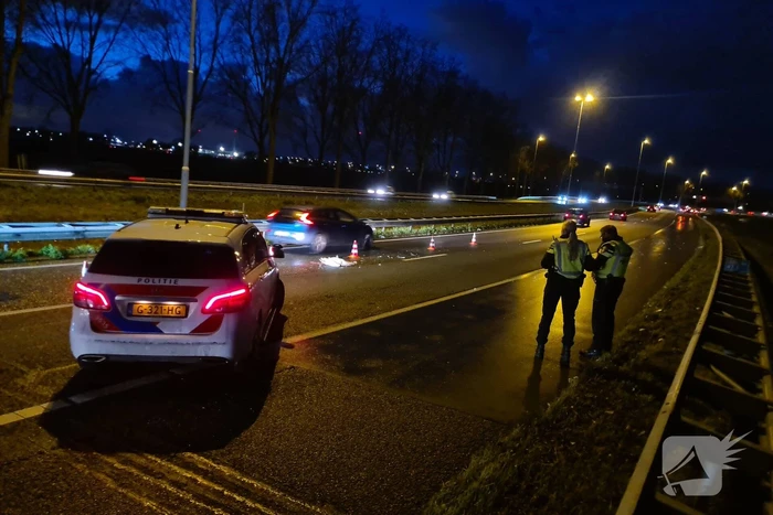 Zwaan aangereden op snelweg